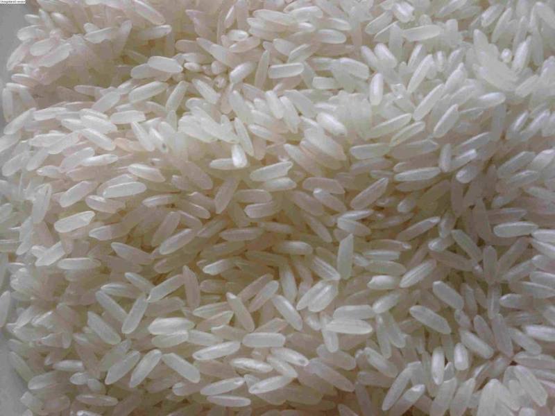 IRRI-6 White rice